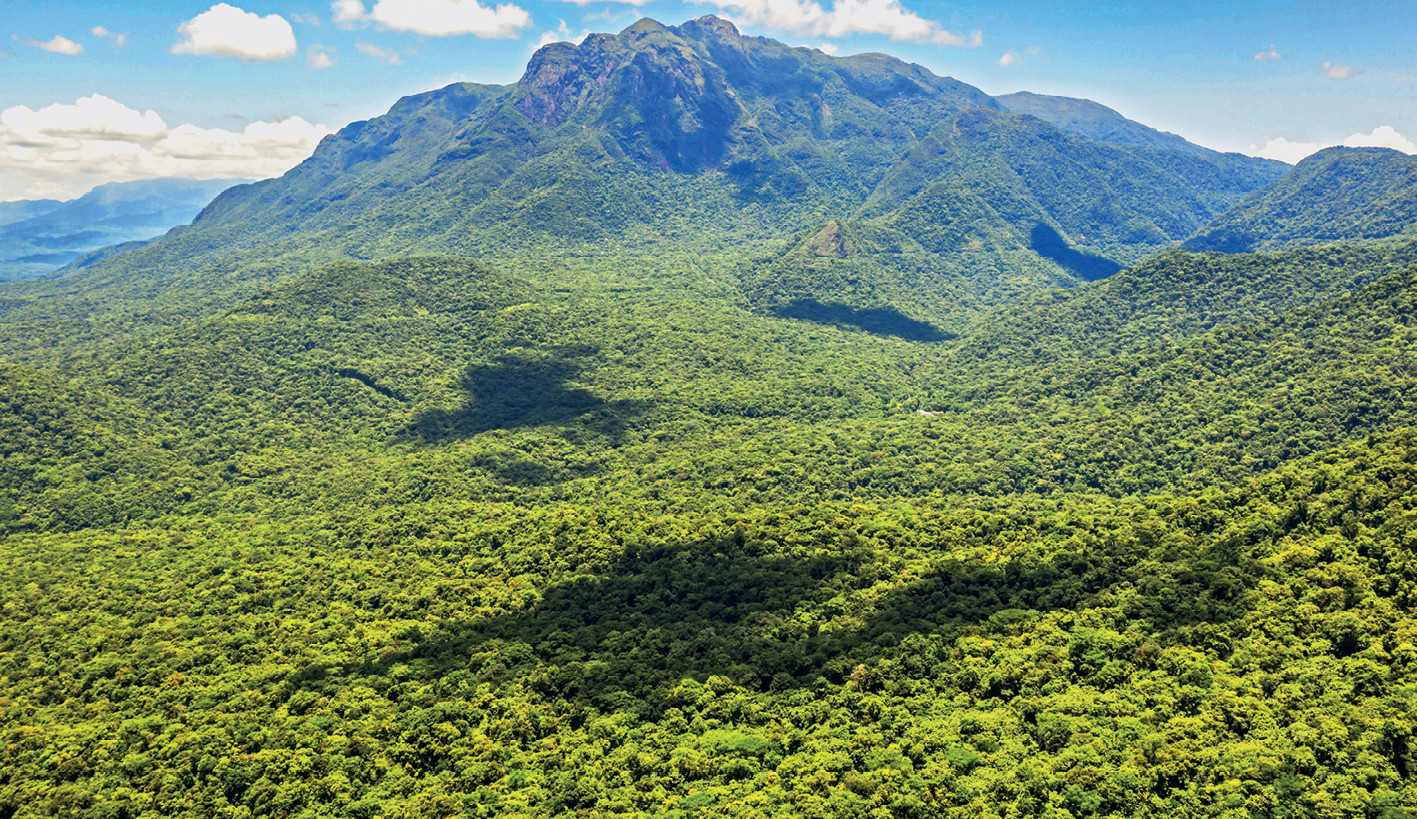 Fotografia. Vista de uma grande área verde com montanhas e vales cobertos de vegetação.