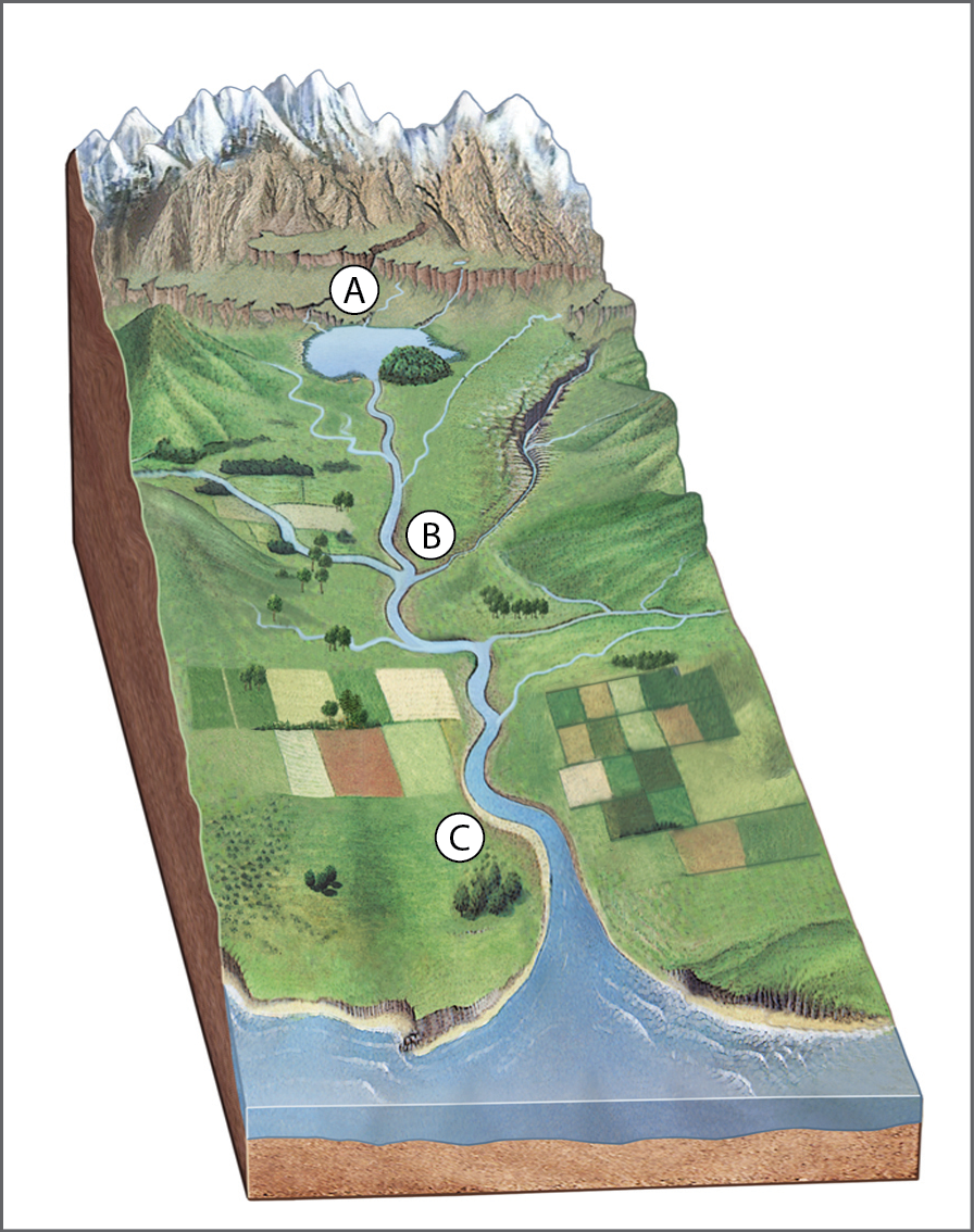 Ilustração. Curso fluvial. 
Bloco diagrama mostrando um rio com afluentes e subafluentes. Na parte de cima, representação de montanhas cobertas por neve, além da nascente do rio principal. Área marcada com a letra A. No centro da imagem, representação do rio principal com diversos afluentes desaguando nele. Área marcada com a letra B. Na parte de baixo, foz do rio desaguando no oceano através de um único canal longo. Área marcada com a letra C.