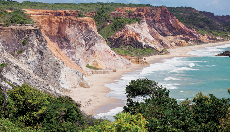 Fotografia. Vista de uma paisagem litorânea. No primeiro plano, vista das copas de algumas árvores; no segundo plano, a área de praia, com o mar à direita, uma faixa de areia ao centro e uma forma de relevo com um paredão rochoso abrupto à esquerda. Na parte de cima do paredão, cobertura com um tipo de vegetação rasteira.