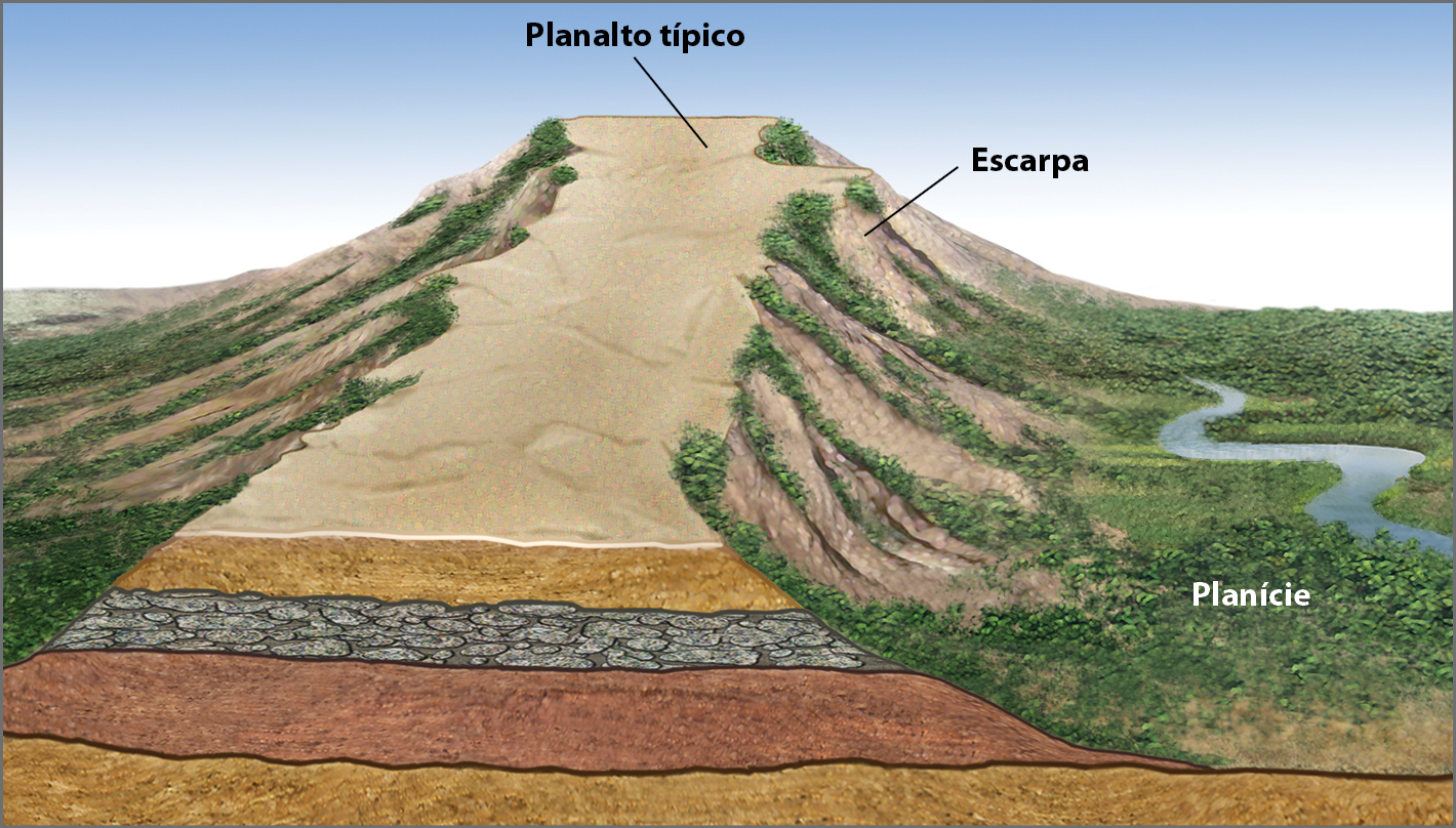 Ilustração. Planalto e planície
No centro da ilustração, observa-se o planalto típico, com aspecto plano e alongado. À esquerda e à direita do planalto, estão representadas escarpas, com vegetação esparsa e baixa. Na continuação da escarpa localizada à direita, está representada uma planície, terreno mais baixo em relação ao planalto e à escarpa, onde há vegetação mais volumosa. Um rio corta a planície.