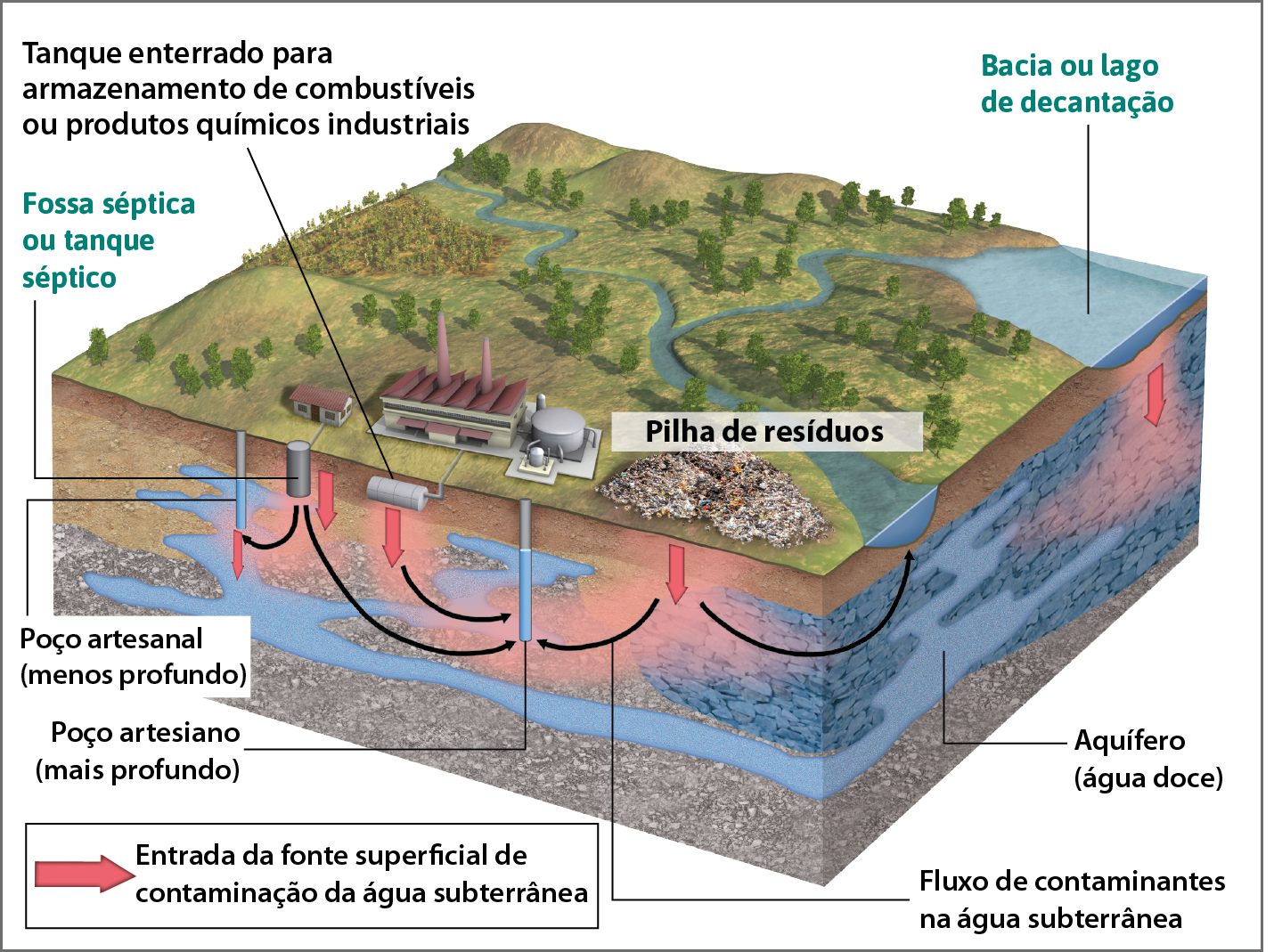 Ilustração. Aquíferos: usos e riscos de contaminação. 
Bloco-diagrama mostrando, na superfície, uma área ocupada predominantemente por vegetação rasteira, árvores e dois rios com meandros. Em primeiro plano estão uma indústria, uma casa, pilhas de resíduos e, ao fundo, uma bacia ou lago de decantação. Na área subterrânea e ligados a alguns desses elementos, estão representados um aquífero (água doce), dois poços artesianos, um tanque, uma fossa séptica e setas vermelhas e pretas que indicam as relações que ocorrem entre a superfície e a área subterrânea:
Ligado à casa, há uma fossa séptica ou tanque séptico na área subterrânea. Nas proximidades da casa, há um poço artesiano (menos profundo).
Ligado à indústria, há um cilindro prateado na área subterrânea, que indica um tanque enterrado para armazenamento de combustíveis ou produtos químicos industriais, e um poço artesiano (mais profundo). 
Da pilha de resíduos, do tanque enterrado, da fosse séptica, do posso artesanal menos profundo e da bacia ou lago de decantação, há setas vermelhas no sentido superfície-subsolo, indicando que essas cinco áreas são a entrada da fonte superficial de contaminação da água subterrânea. Relacionadas às setas vermelhas, há setas pretas que indicam o fluxo de contaminantes do aquífero, evidenciando que boa parte das águas subterrâneas está comprometida.