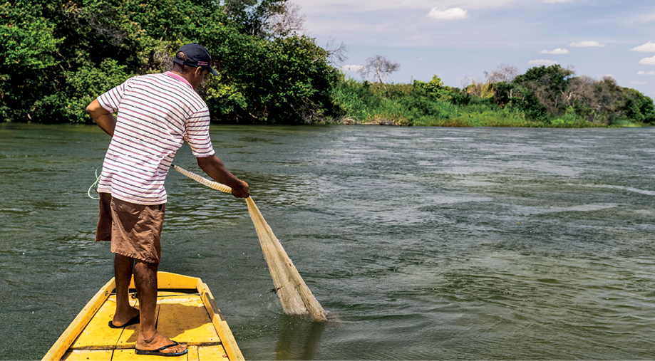Fotografia. Um homem usando camiseta, bermuda, chinelo e boné está sobre um pequeno barco amarelo. Ele segura uma rede de pesca que está dentro de um rio, que ocupa a maior parte da imagem. Ao fundo, uma densa vegetação.