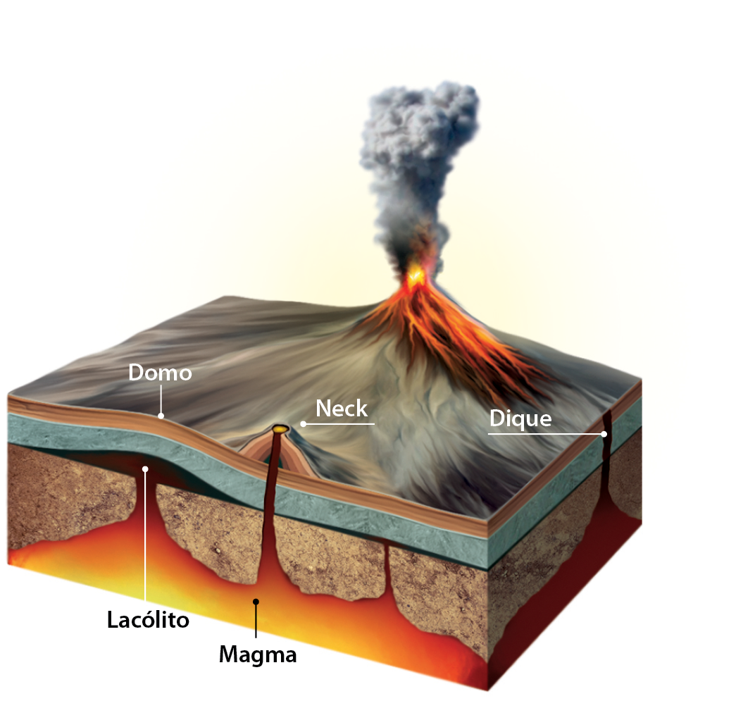 Ilustração. Bloco diagrama mostrando parte da superfície com relevo vulcânico e do subsolo. Na parte mais profunda, abaixo de diferentes camadas de rocha, representação do magma acumulado e fluindo para a superfície através de diferentes estruturas vulcânicas, como o lacólito, uma intrusão magmática que força as camadas rochosas superiores gerando uma ondulação na superfície chamado de domo; além do néqui e do dique, ambas intrusões de magma que romperam as camadas rochosas até a superfície e depois se resfriaram, formando rochas. Em destaque na superfície, representação de um vulcão em erupção.