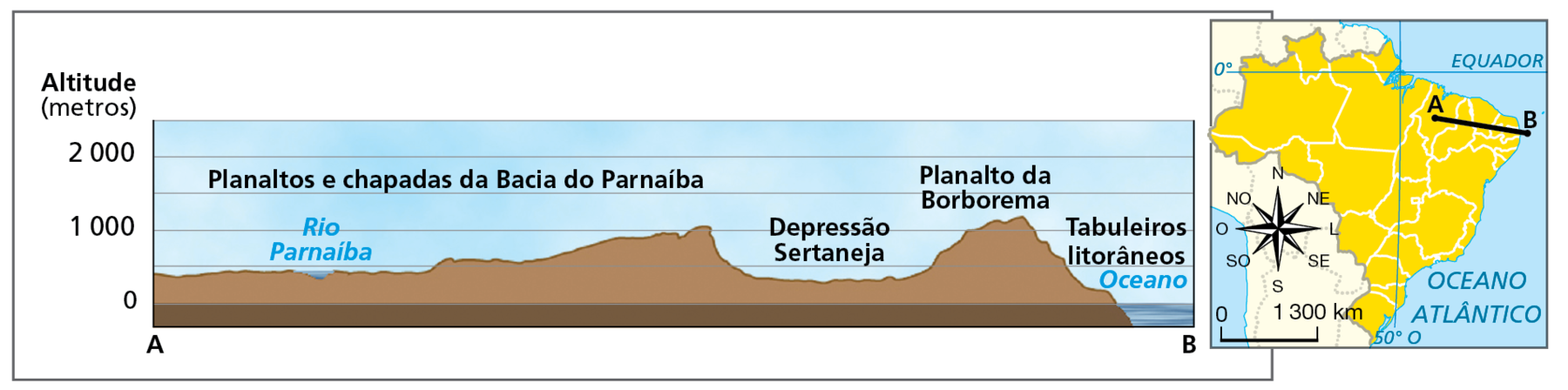 Gráfico. Nordeste do Brasil: perfil do relevo oeste-leste.
Gráfico representando um perfil topográfico das principais formas do relevo da Região Nordeste. À direita do gráfico, mapa reduzido do Brasil com a marcação da linha de corte do perfil, traçada entre o ponto A, localizado na porção oeste do Maranhão, e o ponto B, localizado na faixa oceânica próxima ao continente. A linha do perfil está posicionada na direção de oeste-noroeste a leste-sudeste. 
No perfil traçado no gráfico, a distância entre os pontos A e B representa o eixo horizontal; o eixo vertical indica os intervalos das cotas de altitude em metros: 0 (nível do mar), 1.000 e 2.000. 
O ponto A se encontra a aproximadamente 480 metros de altitude, sob terrenos sedimentares dos planaltos e chapadas da bacia do Parnaíba. Seguindo em direção ao ponto B, o perfil do relevo varia em terras de altitudes entre 500 e 1.000 metros, até avançar ao longo da depressão sertaneja, que se encontra em terras de altitudes que variam entre 450 e 500 metros. Na sequência, ao longo do planalto da Borborema, sob terrenos cristalinos, as altitudes são mais elevadas, chegando a aproximadamente 1.200 metros. Adentrando os tabuleiros litorâneos, as altitudes diminuem até atingir o nível do mar, onde está localizado o ponto B. 
Dentro do mapinha, rosa dos ventos e escala de 0 a 1.300 quilômetros.