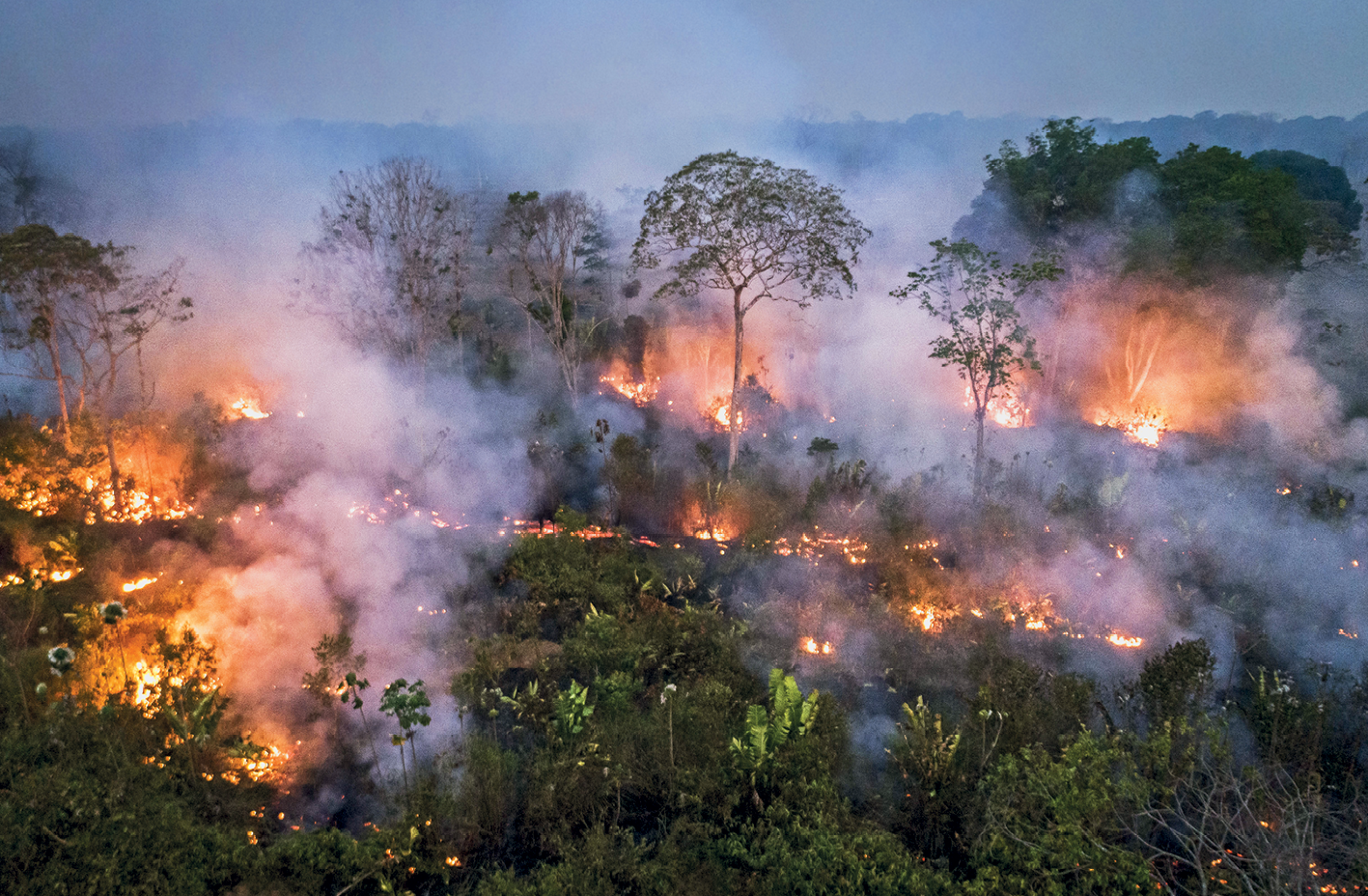 Fotografia. Vista de uma área com vegetação densa e focos de incêndio no meio das árvores. Alguns focos são de chamas grandes. Há muita fumaça.