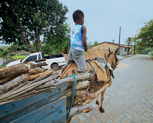 Fotografia. Um menino está montado em um cavalo que puxa uma carroça carregada com troncos de madeiras. Eles estão em uma rua sem movimento e há uma casa ao fundo.