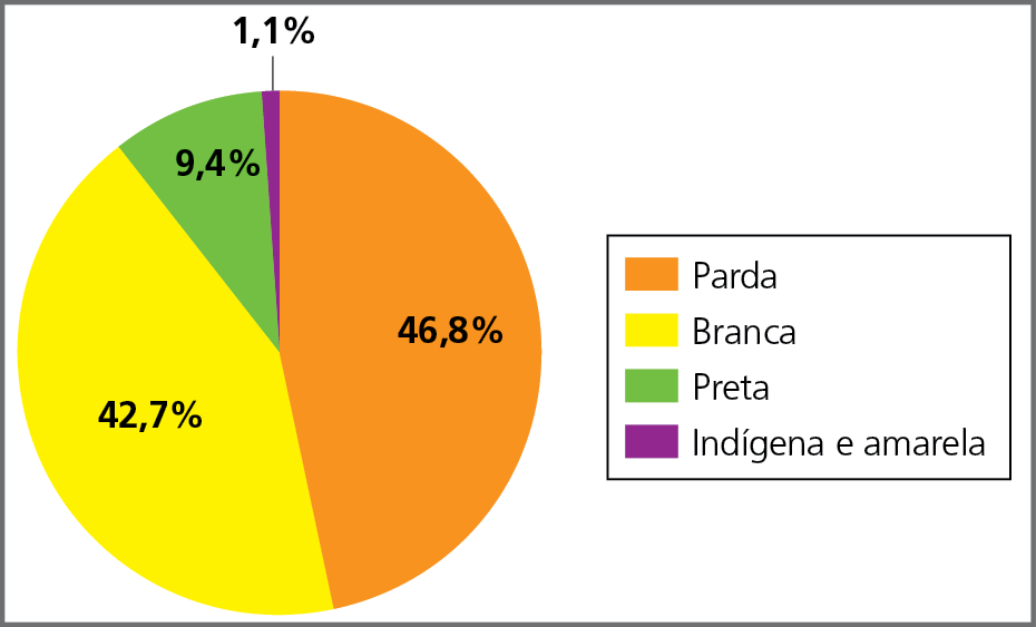 Gráfico. Brasil: distribuição da população residente segundo a cor da pele, em porcentagem, 2019. Gráfico circular dividido em setores: parda, branca, preta, indígena e amarela. População parda: 46,8 por cento. Branca: 42,7 por cento. Preta: 9,4 por cento. Indígena e amarela: 1,1 por cento.