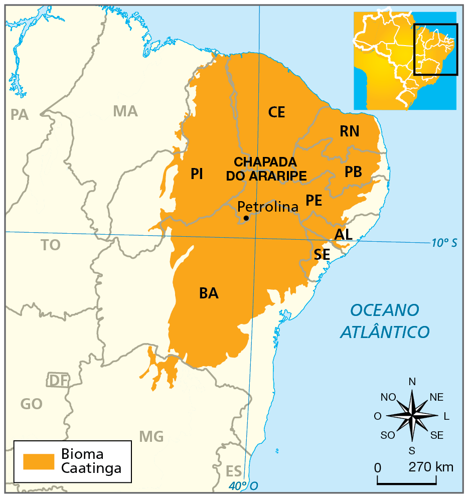 Mapa. Região Nordeste: bioma caatinga. 
Delimitação da área de abrangência do bioma caatinga, compreendendo a maior parte do sertão e porções a oeste do agreste, se estendendo até parte do norte de Minas Gerais. O mapa ainda localiza a cidade de Petrolina, em Pernambuco, e a Chapada do Araripe, na divisa dos estados do Ceará, Pernambuco e Piauí. 
Na parte inferior, rosa dos ventos e escala de 0 a 270 quilômetros.