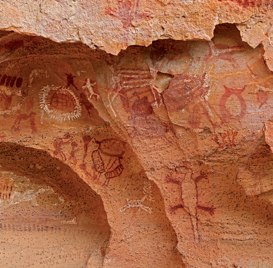 Fotografia. Vista de uma parede rochosa com diversas pinturas rupestres. Os desenhos são de animais de quatro patas e alguns círculos.