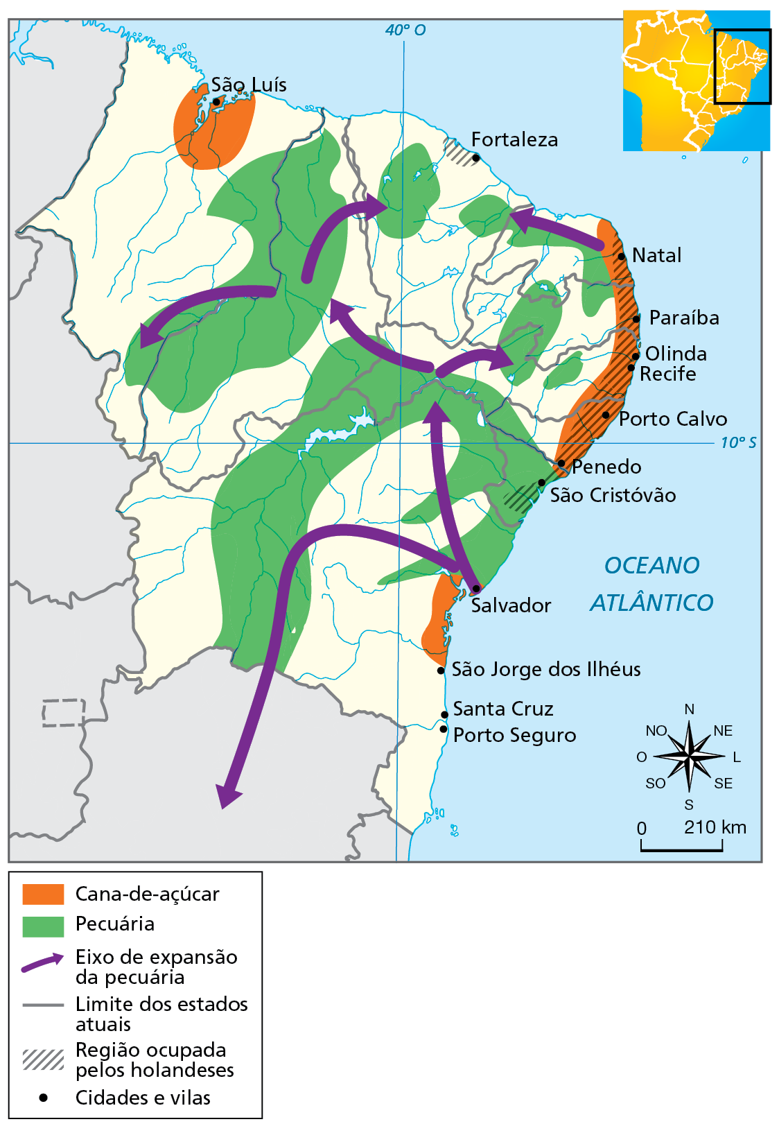 Mapa. Nordeste: economia no século dezessete. Localização das principais atividades econômicas no período e as cidades e vilas 
Cana-de-açúcar: concentrada na faixa litorânea, entre São Jorge dos Ilhéus e Salvador, e de Penedo até os arredores de Natal, além do entorno de São Luís. 
Pecuária e eixos de expansão: a partir de Salvador até São Cristóvão, avançando em direção ao interior pelo vale do Rio São Francisco até o norte do atual estado de Minas Gerais, abarcando também algumas porções no interior dos atuais estados de Pernambuco, Ceará, Paraíba, Piauí e Maranhão.  
O mapa também mostra as regiões de ocupação holandesa, no caso, toda faixa litorânea de São Cristóvão, Penedo, Porto Calvo, Recife, Olinda, Paraíba, Natal e Fortaleza, nos atuais estados de Sergipe, Alagoas, Pernambuco, Paraíba, Rio Grande do Norte e Ceará.  
Na parte de baixo, rosa dos ventos e escala de 0 a 210 quilômetros.