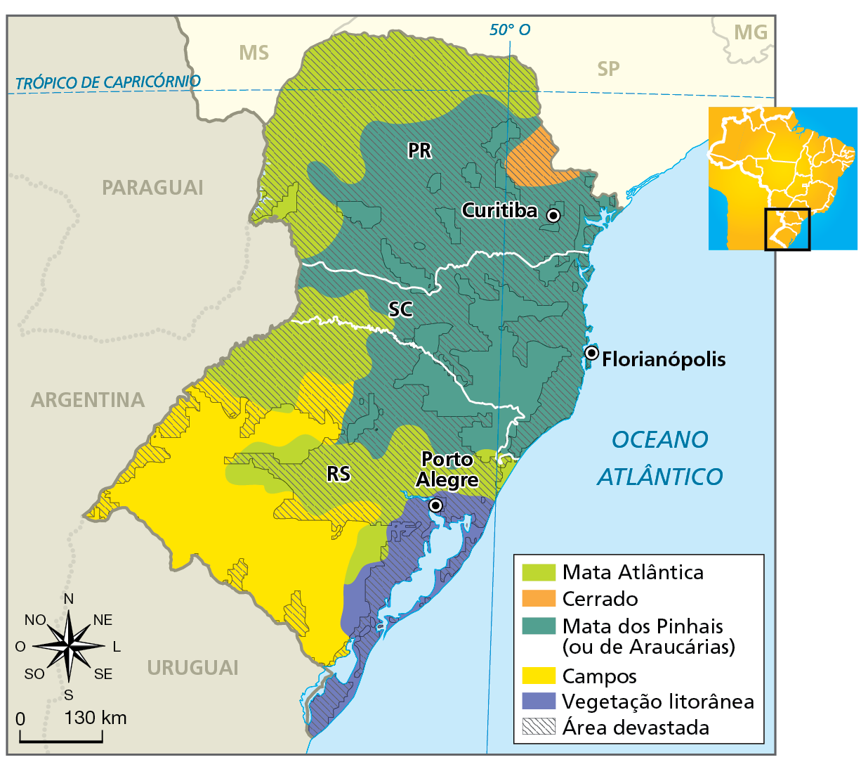 Mapa. Região Sul: vegetação nativa e devastação. Mapa da Região Sul com destaque para a as principais formações vegetais da região e área devastada.
Mata Atlântica: no Paraná, ocorre nos porções norte e oeste; em Santa Catarina, ocorre em um trecho do oeste do estado; no Rio Grande do Sul, ocorre no noroeste, na faixa central e leste, e em porções dos extremos oeste e sul. 
Cerrado: ocorre em um trecho na porção leste do Paraná 
Mata dos Pinhais ou de Araucárias: ocorre nas áreas ao centro, sul e leste do Paraná; na maior parte de Santa Catarina e se estende pelo nordeste do Rio Grande do Sul. 
Campos: ocorre na maior parte do oeste e sul do Rio Grande do Sul.  
Vegetação litorânea: ocorre na faixa do litoral que bordeia as Lagoas Mangueira, Mirim e dos Patos. 
Área devastada: quase totalidade dos estados da Região Sul, sendo a vegetação nativa menos devastado os campos. 
Na parte inferior, rosa dos ventos e escala de 0 a 130 quilômetros.