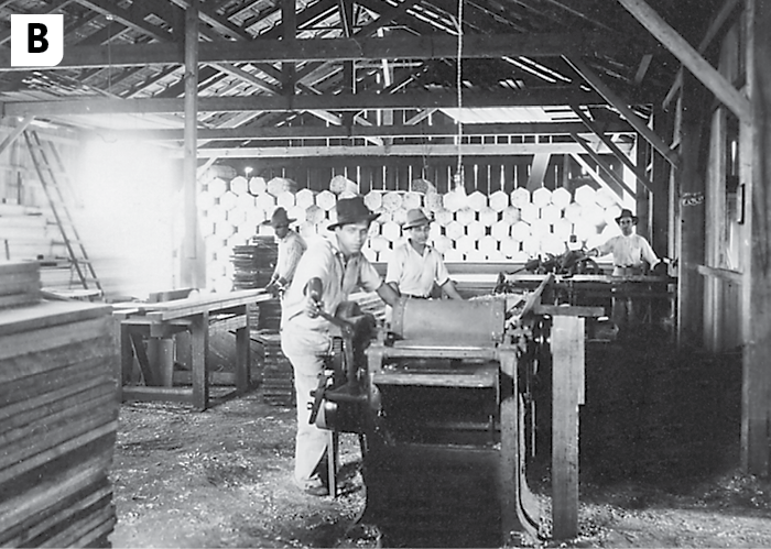 Fotografia B em preto e branco. Vista de pessoas no interior de um galpão manuseando pequenas máquinas onde estão madeiras.