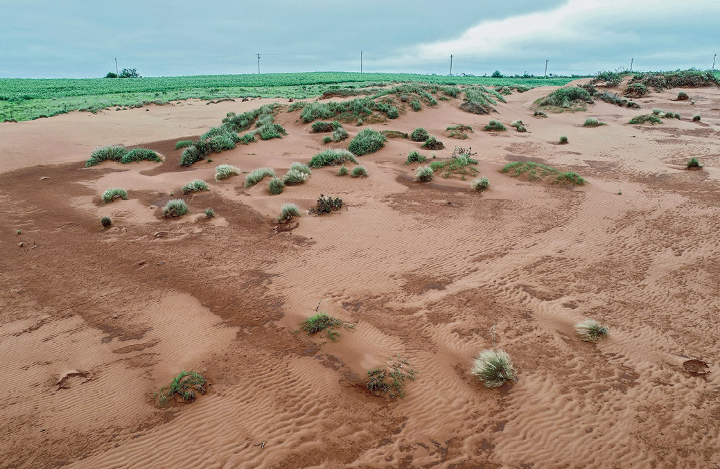 Fotografia. Vista de um espaço rural, de relevo aplainado, usado para pastagens. No primeiro plano, uma extensa área coberta com areia, com alguns poucos arbustos descobertos. No segundo plano, vista de uma área verde de pastagens.