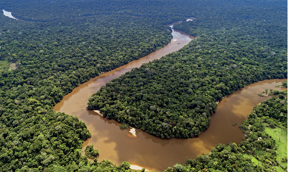 Fotografia. Vista de uma área com vegetação densa, com árvores com copas fechadas, e um extenso rio com curvas perpassando a formação vegetal.