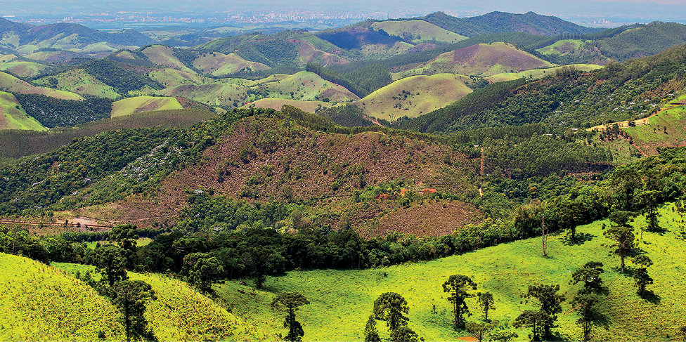 Fotografia. Vista de uma área com muitas serras encobertas por vegetação em tons variados de verde. Em primeiro plano, algumas árvores esparsadas de porte médio aparecem.