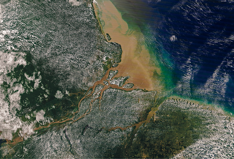 Imagem de satélite. No centro da imagem, faixa de areia. À direita, há o mar em tons de verde próximo à areia e depois azul escuro. No continente, há área de vegetação na cor verde e manchas cinza.