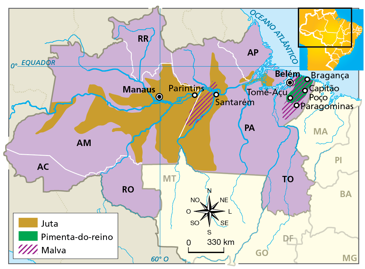 Mapa. Região Norte: culturas de pimenta do reino, juta e malva. Mapa da região Norte com a localização das culturas de juta, pimenta do reino e malva. As áreas onde ocorrem essas culturas estão representadas em cores: marrom para juta, verde para pimenta do reino e hachurado roxo para malva.   
Juta: cultivada sobretudo na área central da região, próximo ao rio Amazonas e em seus afluentes principais, nos estados do Amazonas e Pará, nas cidades de Manaus, Parintins e Santarém. Pimenta-do-reino: cultivada na porção leste do Pará, nas cidades de Belém, Capitão Poço, Bragança, Paragominas e Tomé-Açu. 
Malva: cultivada no estado do Pará, entre Parintins e Santarém, e mais ao leste, entre Bragança, Capitão Poço, Paragominas, Tomé-Açu e Belém. 
Na parte inferior do mapa, rosa dos ventos com o norte orientado para cima e escala de 0 a 330 quilômetros.