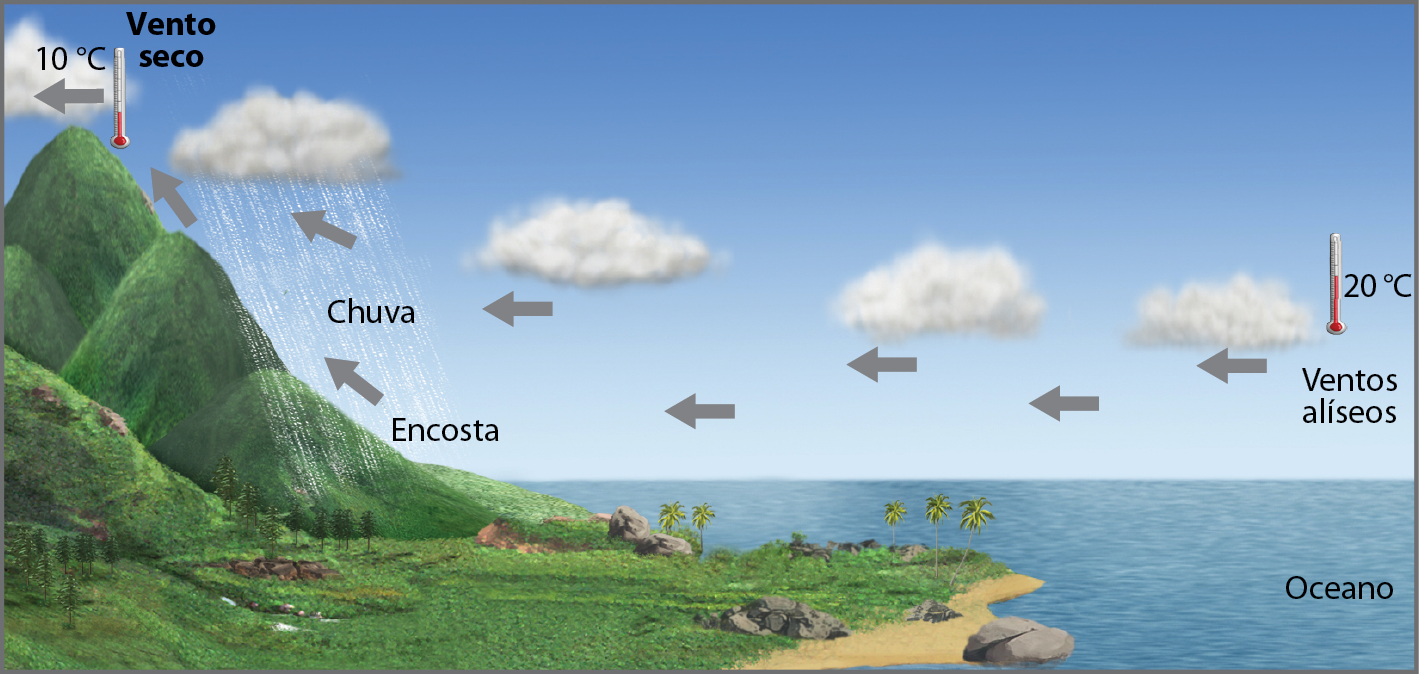 Ilustração. Chuva orográfica. 
Ilustração representando o processo de formação de chuva orográfica ou de relevo. 
À direita, representação de um oceano com formação de nuvens carregadas no céu acima das águas, a uma temperatura de vinte graus célsius. À esquerda, representação do litoral de um continente, com uma faixa de areia, seguida de vegetação rasteira e uma encosta com morros. Ventos alísios deslocam as nuvens carregadas do oceano em direção ao continente, onde são barradas pelos morros da encosta, provocando a condensação do vapor de água e a formação de chuva. Acima dos morros, a uma temperatura de 10 graus célsius, ventos secos avançam para o interior do continente.