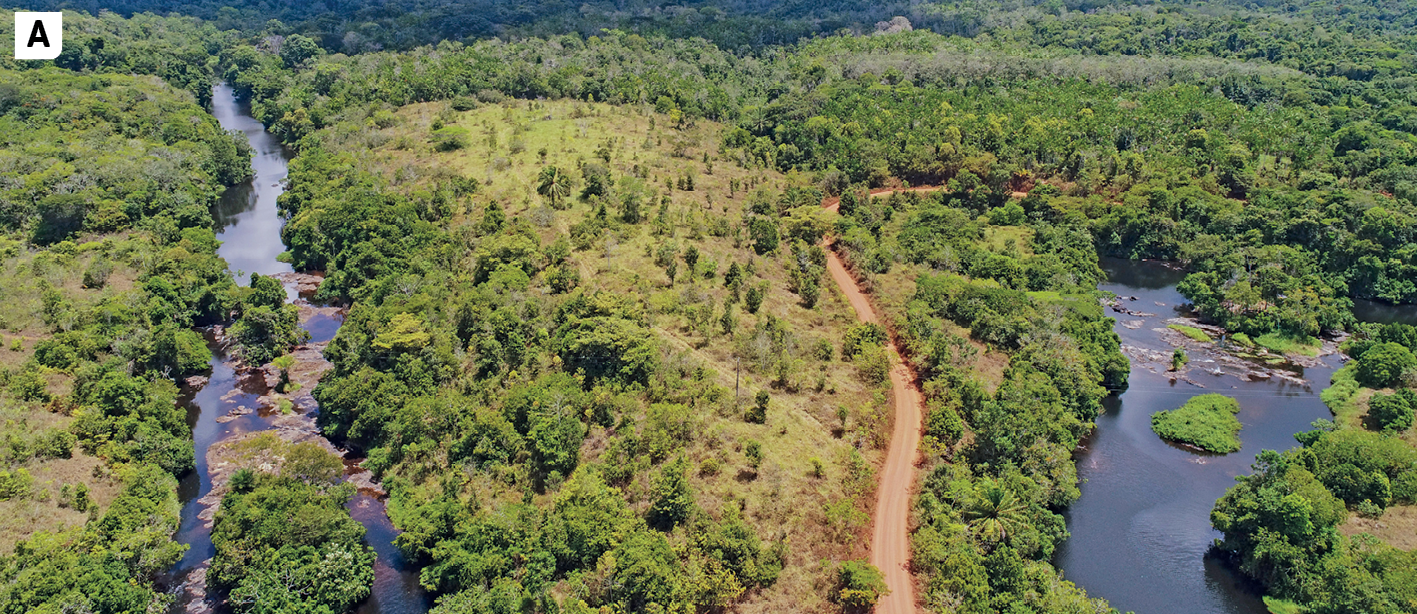 Fotografia A. Vista do alto mostrando uma área com vegetação. Há um rio à esquerda, um corpo de água à direita e uma estrada de terra atravessando no centro.