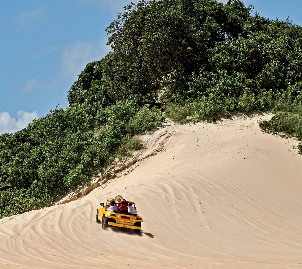 Fotografia. Duna formada por um monte de areia clara e um veículo com três pessoas atravessando-a. Na parte de cima da duna, vista de vegetação.
