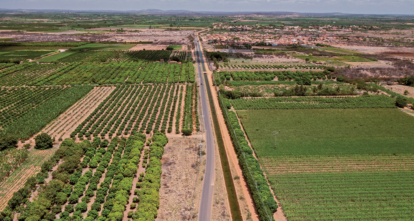 Fotografia. Vista do alto de uma área rural com diversas plantações e uma estrada atravessando as áreas de cultivo.