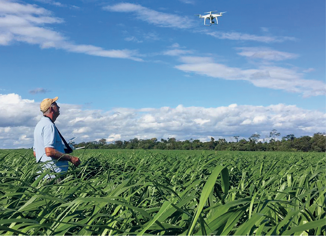 Fotografia. Vista de uma grande plantação com um homem de boné no meio. Ele segura um controle e observa um drone no alto da plantação. Ao fundo, árvores.