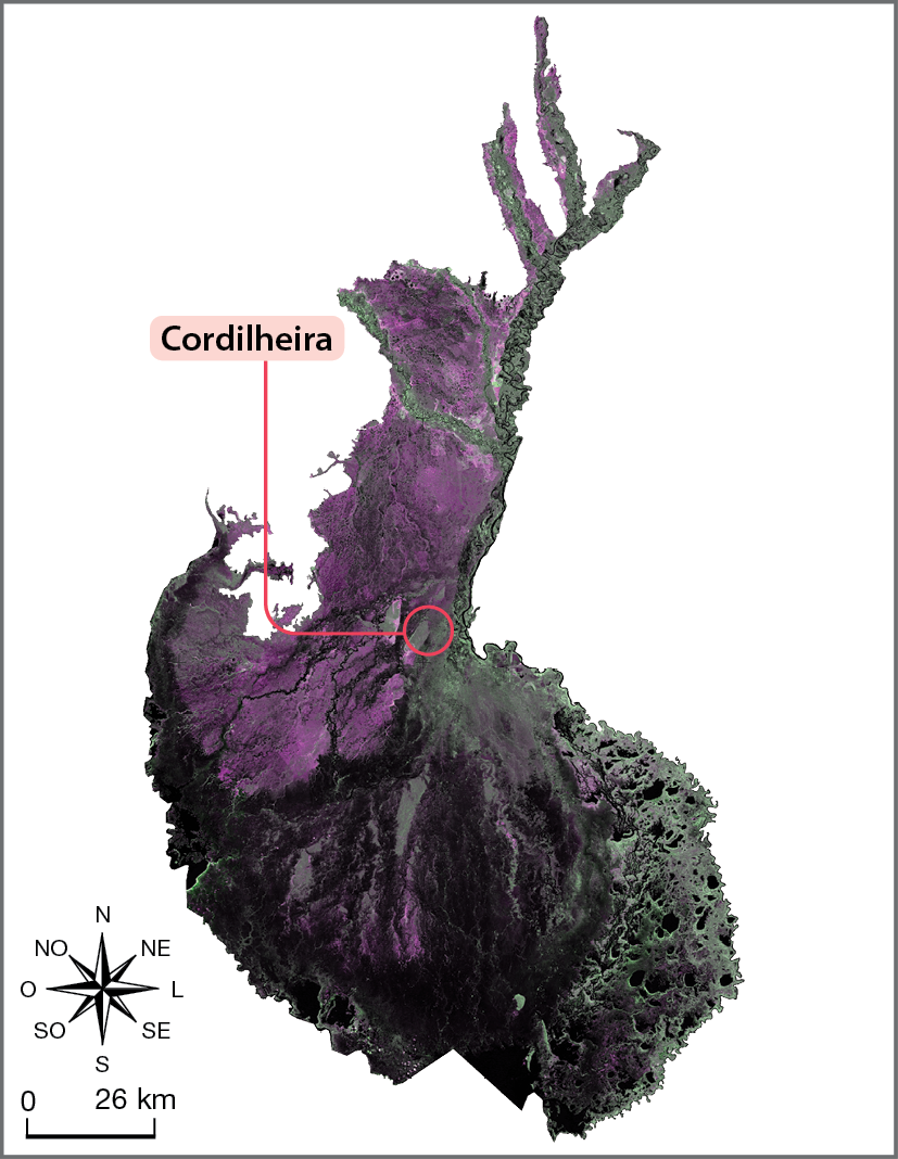Imagem de satélite. Pantanal de Cáceres no período da cheia. Imagem de satélite recortada mostrando a área de abrangência da microrregião pantaneira de Cáceres, na porção noroeste da Planície do Pantanal, durante o período de cheia. Na imagem, um círculo vermelho na porção central da microrregião, destacando uma cordilheira na paisagem.