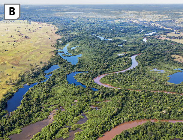 Fotografia B. Vista do alto mostrando uma extensa área de relevo plano, com vegetação predominantemente rasteira à esquerda e vegetação mais densa na faixa central da imagem, onde também há diversos canais naturais com água e algumas porções do terreno alagadas.