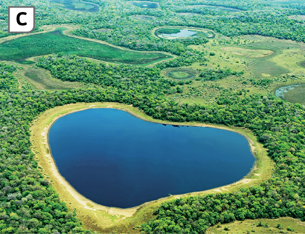 Fotografia C. Vista do alto mostrando uma extensa área de relevo plano, com canais naturais e uma lagoa em destaque no centro na imagem. Nas margens dos canais e da lagoa, presença de vegetação densa.