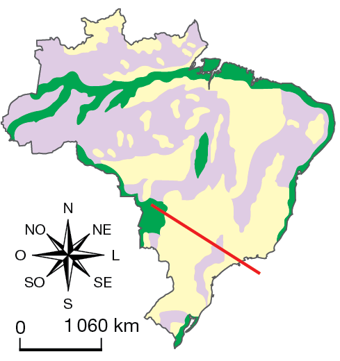 Mapa. Mapa reduzido do Brasil com a marcação da linha de corte do perfil, traçada entre a Planície Pantanal Mato-Grossense, localizada na porção oeste do Mato Grosso do Sul, e a faixa oceânica próxima ao litoral do estado de São Paulo. A linha do perfil está posicionada na direção de oeste-noroeste para leste-sudeste. No perfil topográfico, o eixo horizontal corresponde ao terreno na área do corte; o eixo vertical indica os intervalos das cotas de altitude em metros: 0 (nível do mar), 500, 1.000, 1.500 e 2.000. A Planície Pantanal Mato-Grossense se encontra a aproximadamente 200 metros de altitude e é composta por terrenos cristalinos. Seguindo em direção ao litoral do estado de São Paulo, o perfil do relevo varia em terras de altitudes entre 500 (próximo ao Rio Paraná) e 1.000 metros. Essa porção é denominada Planaltos e Chapadas da Bacia do Paraná e é composta por terrenos sedimentares. Em seguida, inicia-se a Depressão Periférica da Borda Leste da Bacia do Paraná, onde as altitudes voltam a diminuir, chegando a 600 metros, com terrenos sedimentares e cristalinos. Por fim, nos Planaltos e Serras do Atlântico Leste-Sudeste, formados por terrenos cristalinos, o perfil alcança a sua maior altitude, aproximadamente 1.200 metros, para, em seguida, diminuir abruptamente até o nível do mar, no Oceano Atlântico.  
Ao lado do mapa reduzido do Brasil, rosa dos ventos e escala de 0 a 1.060 quilômetros.