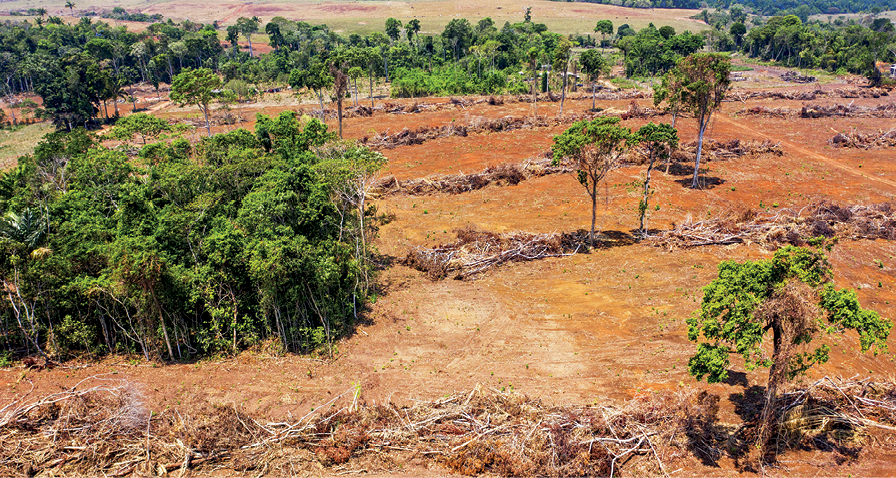 Fotografia. Vista do alto de uma área de desmatamento. No primeiro plano, à esquerda, há um pequeno núcleo com vegetação ainda de pé, além de algumas árvores esparsas. A maior parte da área se encontra com solo exposto. No segundo plano, uma faixa estreita ainda com vegetação.