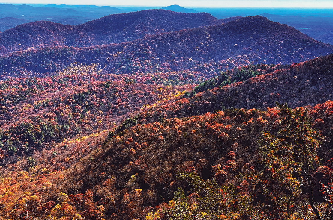 Fotografia. Vista de uma extensa área com montanhas cobertas de árvores. As folhas das árvores estão em tons de laranja, verde, vermelho e amarelo.