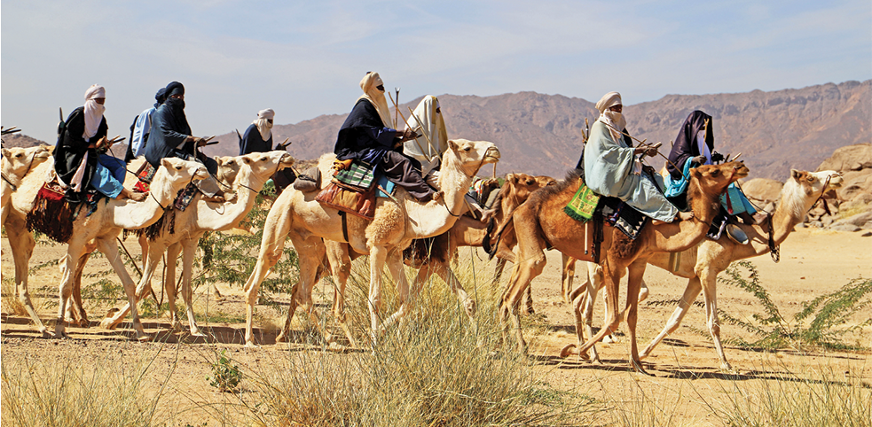 Fotografia. Vista de um grupo de pessoas montadas em camelos que caminham. Elas usam lenços na cabeça, no rosto e no pescoço e túnicas cobrem o corpo. Os camelos têm a pelagem clara e estão com as cabeças erguidas.  
A paisagem é desértica, com areia no chão, alguns arbustos secos e montanhas sem vegetação ao fundo.