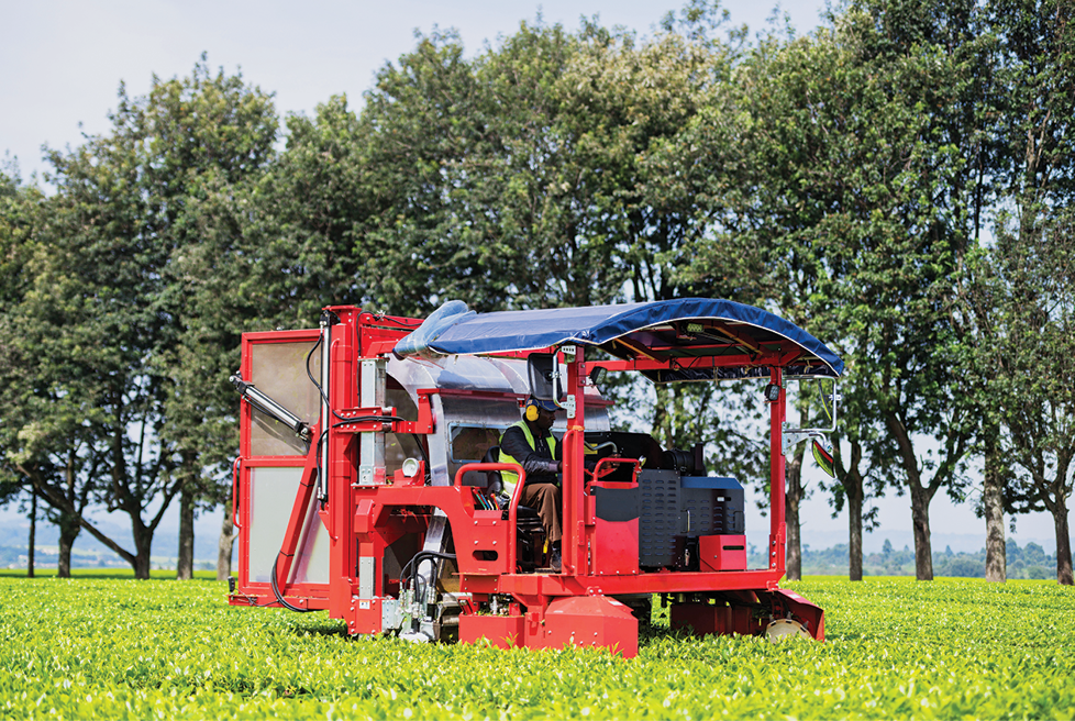 Fotografia. Vista de uma paisagem rural. Destaque para uma máquina agrícola vermelha sobre uma plantação de folhas de chá em um terreno plano. Ao fundo, árvores mais altas esparsadas.