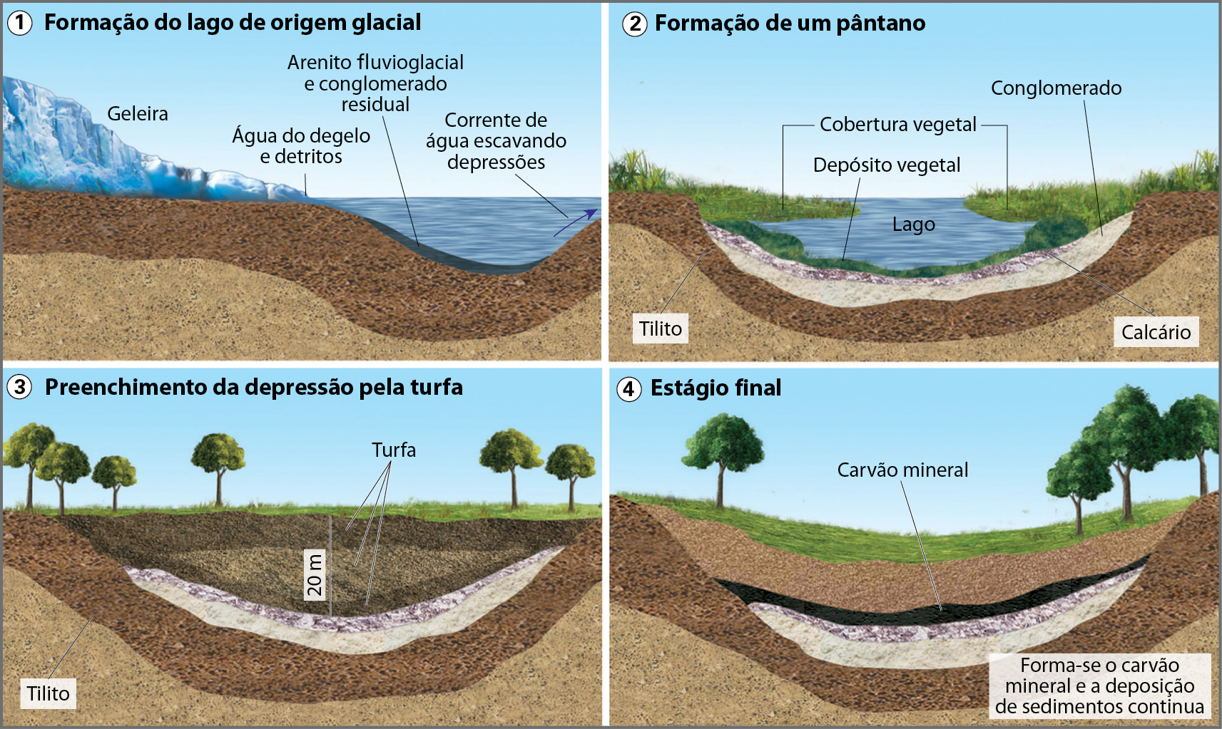 Ilustração. Fases da formação do carvão mineral. Quatro ilustrações representam o processo de formação de uma reserva de carvão mineral.
Ilustração 1: Formação do lago de origem glacial. Perfil de uma superfície composta por uma geleira, um lago e substrato rochoso. O contato entre a geleira e o lago é indicado como água do degelo e detritos. O leito do lago é coberto por uma camada fina de arenito fluvioglacial e conglomerado residual sob a água. Na vertente direita do leito do lago consta uma seta em direção à superfície terrestre indicando corrente de água escavando depressões. O substrato rochoso é composto por duas camadas: a superior é marrom escura e a inferior é marrom clara.
Ilustração 2: Formação de um pântano. Perfil de uma superfície composta por um lago e um substrato rochoso. As margens do lago são cobertas por vegetação rasteira verde. O leito do lago é coberto por uma fina camada verde, denominada de depósito vegetal. A segunda camada em direção ao substrato rochoso é cinza-escura e denominada de calcário. A terceira camada é bege e denominada de conglomerado. A quarta camada é marrom escura e denominada de tilito; a quinta camada é a marrom clara.
Ilustração 3: Preenchimento da depressão pela turfa. Perfil de uma superfície terrestre plana coberta por vegetação rasteira, árvores esparsas e substrato rochoso com diversas camadas. A primeira camada é marrom escura, possui vinte metros de profundidade e é denominada de turfa. A segunda camada é cinza-escura e a terceira é bege. A quarta camada é marrom escura denominada de tilito a quinta é a marrom clara.
Ilustração 4: Estágio final. Perfil de uma superfície terrestre levemente inclinada coberta por vegetação rasteira, árvores esparsas e substrato rochoso com diversas camadas. A primeira camada é marrom, a segunda camada é preta e denominada de carvão mineral, a terceira é cinza-escura, a quarta camada é bege, a quinta camada é marrom escura e a sexta é marrom clara. Ao lado, caixa de texto: Forma-se o carvão mineral e a deposição de sedimentos continua.