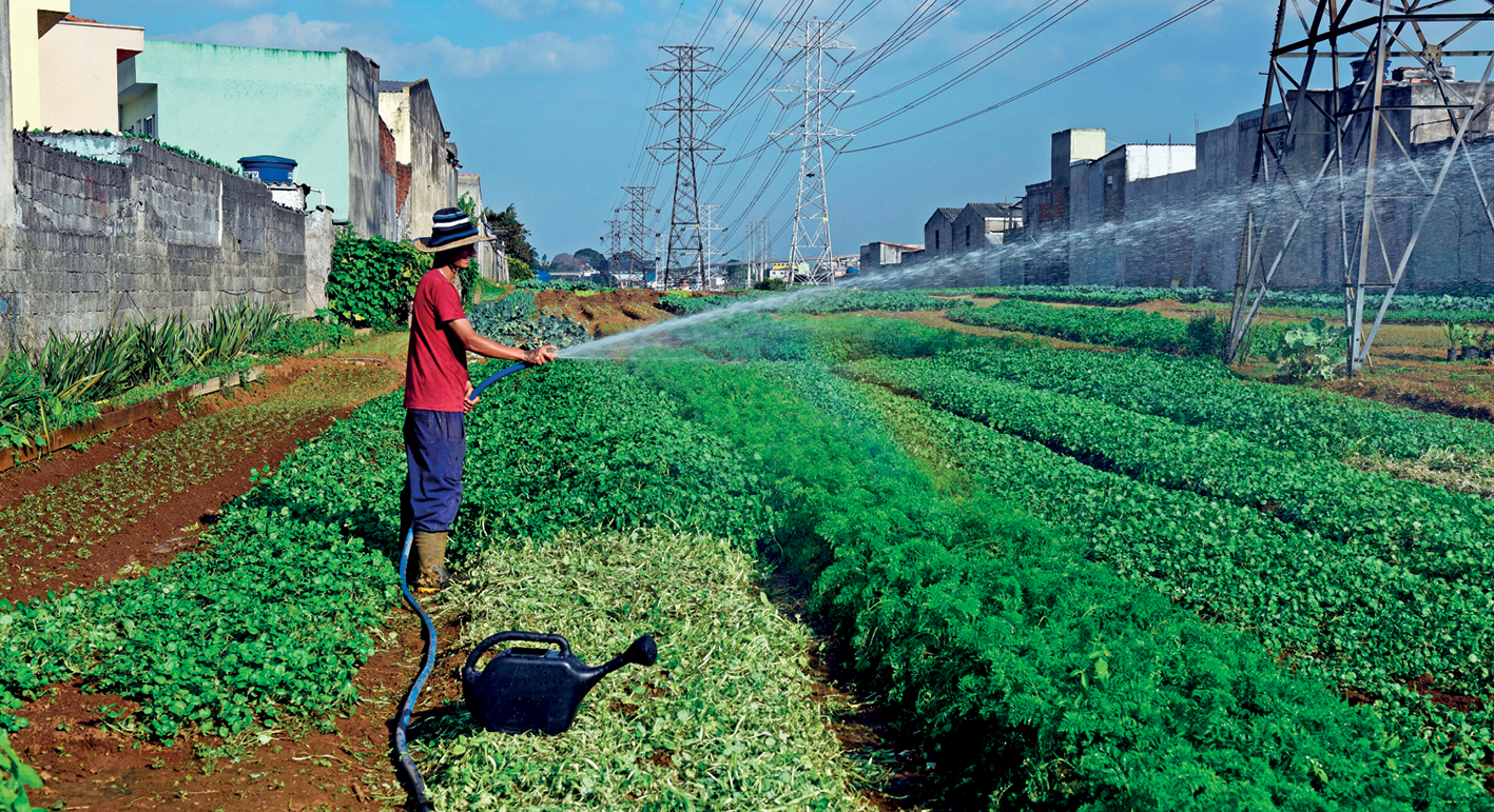 Fotografia. Vista para uma linha de transmissão, cuja superfície é ocupada por uma horta com diversos tipos de cultivos. Entre os cultivos, um homem de pé, vestindo bermuda azul, camiseta vermelha e chapéu está regando a plantação. Nas margens da linha de transmissão, há casas e edifícios. Acima, céu azul.