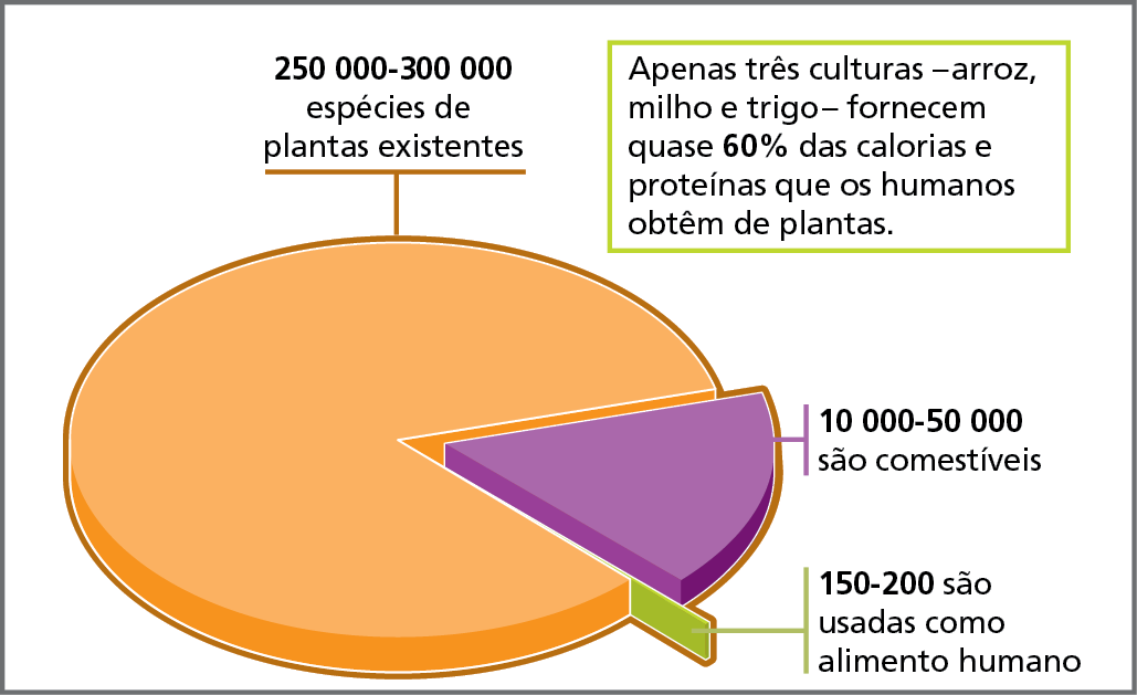 Gráfico. Mundo: biodiversidade inexplorada. Gráfico circular representando a quantidade de espécies de plantas existentes (setor laranja), de espécies de plantas comestíveis (setor lilás) e de espécies de plantas que são usadas como alimento humano (setor verde-claro).
250.000 a 300.000: espécies de plantas existentes.
10.000 a 50.000: são comestíveis.
150 a 200: são usadas como alimento humano.
Ao lado do gráfico, texto: apenas três culturas - arroz, milho e trigo – fornecem quase 60% das calorias e proteínas que os humanos obtêm de plantas.