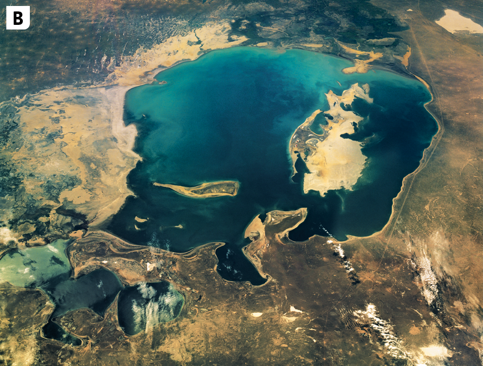 Imagem de satélite B. Vista para o Mar de Aral: uma grande porção de água azul escura no centro, e superfície terrestre sem cobertura vegetal ao redor. Dentro do Mar de Aral, há duas ilhas formadas pelo assoreamento.