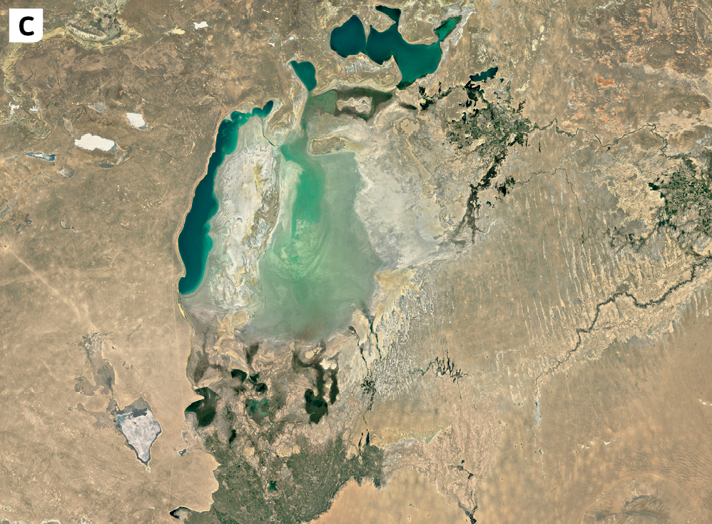 Imagem de satélite C. Vista para o Mar de Aral: pequenas porções de água no centro e superfície terrestre sem cobertura vegetal ao redor. Grande parte da área ocupada pelo Mar de Aral está coberta de terra, decorrente do assoreamento.