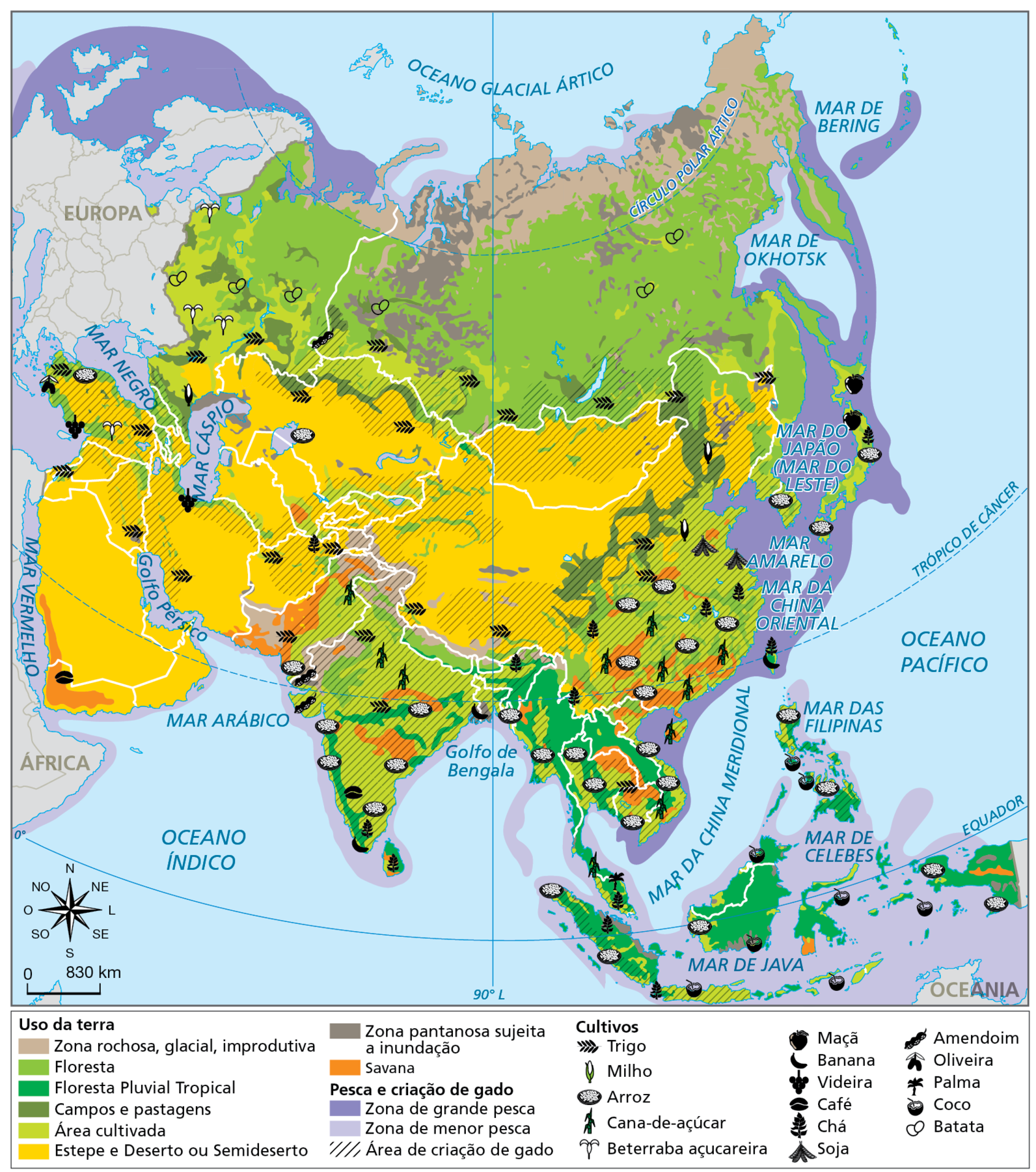 Mapa. Ásia: uso da terra. Mapa representando a distribuição de usos da terra no continente asiático.
Uso da terra
Zona rochosa, glacial, improdutiva: extremo norte do continente, banhado pelo Oceano Glacial Ártico.
Floresta: predominante no interior da Rússia e norte do continente.
Floresta Pluvial Tropical: predominante na Península da Indochina e nas ilhas do Sudeste Asiático.
Campos e pastagens: fragmentos no interior e nordeste da China e norte do Cazaquistão.
Área cultivada: predominante no sudeste da China, no Japão, na Índia, na Península da Indochina e no litoral oeste, na porção banhada pelo mar Mediterrâneo.
Estepe e Deserto ou Semideserto: predominante na Península Arábica, na porção ao sul do Mar Negro, na porção a leste do Mar Cáspio e em grande parte do centro do continente.
Zona pantanosa sujeita a inundação: predominante ao norte do Mar Cáspio e na porção noroeste da Rússia.
Savana: predominante na porção oeste da Península Arábica, no interior do Paquistão e áreas no sudeste da China e no sudeste da Península da Indochina.
Pesca e criação de gado
Zona de grande pesca: predominante no litoral norte da Europa, no litoral noroeste e leste da Rússia, em todo o litoral do Japão, da Península Coreana e da China e no litoral leste da Península da Indochina.
Zona de menor pesca: interior do Mar Cáspio, Mar Vermelho, Mar Negro e Golfo Pérsico, litoral norte da Rússia, banhado pelo Oceano Glacial Ártico, litoral sul da Península Arábica, litoral do Paquistão e da Índia, litoral leste da Península da Indochina e todo o litoral das ilhas situadas no Sudeste Asiático.
Áreas de criação de gado. Predominante ao sul do Mar Negro e do Mar Cáspio, na Índia, nos países do centro da Ásia, no norte do Cazaquistão, na Mongólia, na porção leste, sudeste e sul da China, na Península da Indochina, na Indonésia e nas Filipinas.
Cultivos
Trigo: porção sul da Península da Indochina, norte da Índia, sul e interior da China, sul da Rússia, porções do Paquistão, Afeganistão, Cazaquistão, Irã, Iraque e Turquia.
Milho: nordeste da China. 
Arroz: sudeste da China, Península da Indochina, Filipinas, Indonésia, litoral da Índia, centro e sul do Japão, Coreia do Sul, oeste da Turquia e do Cazaquistão.
Cana-de-açúcar: sudeste da China, sul da Península da Indochina e norte da Índia.
Beterraba açucareira: Turquia e oeste da Rússia. 
Maçã: norte do Japão. 
Banana: sul da Índia. 
Videira: litoral sul da Turquia e litoral norte do Irã.
Café: sul da Índia.
Chá: sul da China, Japão e Afeganistão.
Soja: leste da China. 
Amendoim: oeste da Índia e sul da Rússia. 
Oliveira: oeste da Turquia.
Palma: Malásia. 
Coco: ilhas do Sudeste Asiático.
Batata: oeste e leste da Rússia.
Na parte inferior, rosa dos ventos e escala de 0 a 830 quilômetros.