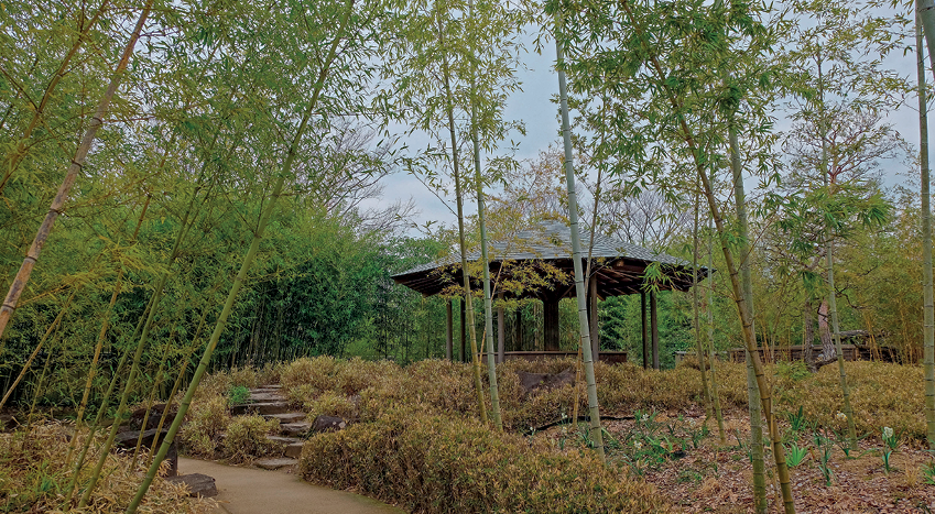 Fotografia. À direita, destaque para um quiosque de madeira e, ao redor dele, uma floresta de bambu. À esquerda, um caminho de terra e alguns degraus de escada dando acesso ao quiosque. Ao lado da trilha, bambu e vegetação rasteira. Ao fundo, bambus e céu nublado.