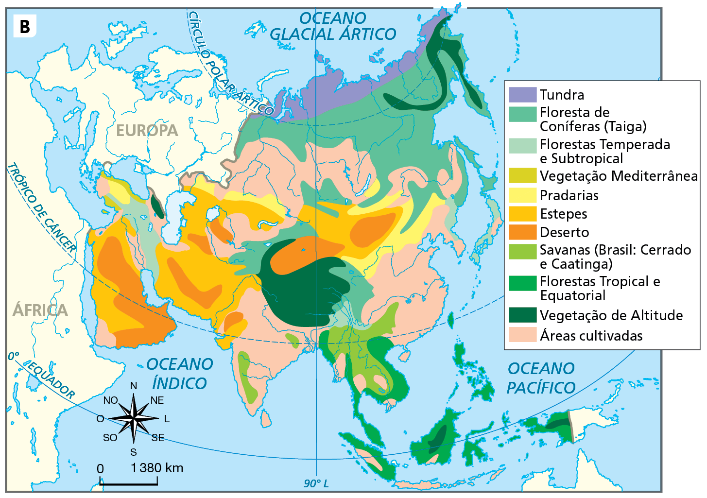 Mapa B. Ásia: vegetação natural e áreas de cultivo, 2019.
Tundra: predominante no extremo norte do continente, no litoral banhado pelo Oceano Glacial Ártico. 
Floresta de Coníferas (Taiga): predominante no norte e em algumas áreas do interior do continente.
Florestas Temperada e Subtropical: predominante no Japão e em pequena porção no oeste do continente.
Vegetação Mediterrânea: pequenos fragmentos no oeste do continente. 
Pradarias: algumas faixas no interior do continente.
Estepes: predominante na Península Arábica, no sudoeste e em algumas áreas do interior do continente.
Deserto: predominante na Península Arábica e em algumas áreas do interior do continente. 
Savanas (Brasil: Cerrado e Caatinga): predominante no interior da Península da Indochina e oeste da Índia.
Florestas Tropical e Equatorial: predominante no litoral da Península da Indochina e ilhas situadas no sul do continente.
Vegetação de Altitude: faixa na porção nordeste do continente e área na porção central. 
Áreas cultivadas: presente em grande parte do território da Ásia, sendo mais presente no sul (Índia), no sudeste e na porção noroeste. 
Na parte inferior, rosa dos ventos e escala de 0 a 1.380 quilômetros.