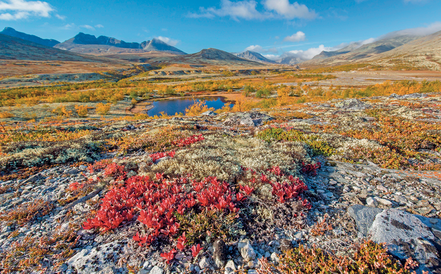 Fotografia. Paisagem ampla e vasta, com vegetação rasteira e colorida. Há uma lagoa, e ao fundo, relevo com declives formando uma cadeia de morros.