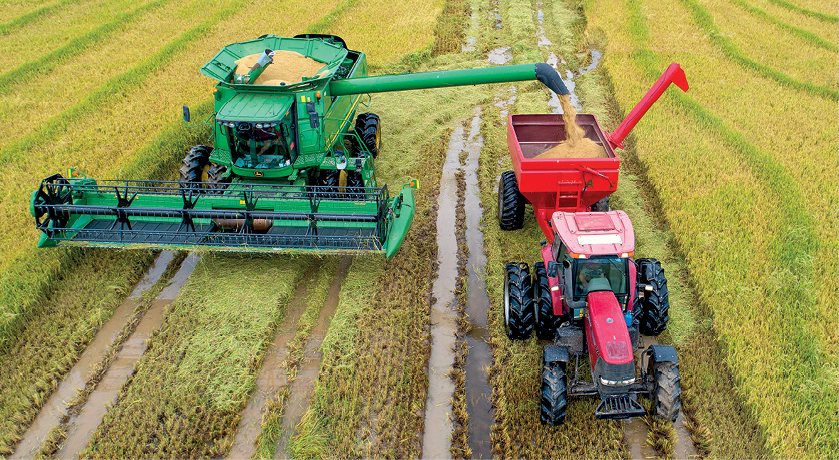 Fotografia. 
Vista de cima de maquinário agrícola, um verde e outro vermelho, fazendo a colheita. A máquina da esquerda (verde), despeja arroz na caçamba da máquina da direita (vermelha).