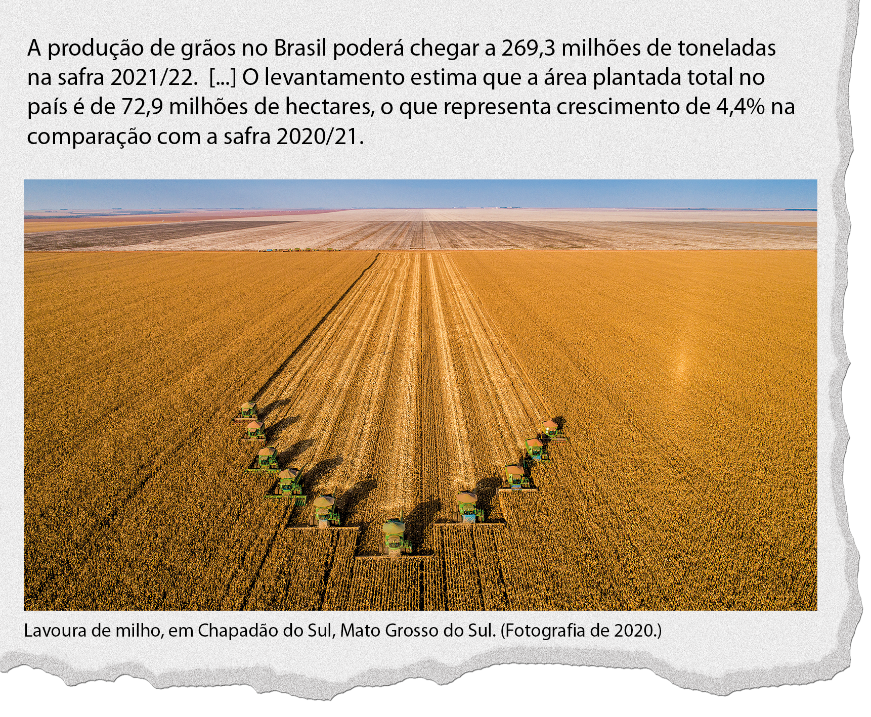 Ilustração. 
Manchete de jornal. A produção de grãos no Brasil poderá chegar a 269,3 milhões de toneladas na safra 2021/22. [...] O levantamento estima que a área plantada total no país é de 72,9 milhões de hectares, o que representa crescimento de 4,4% na comparação com a safra 2020/21.
Dados obtidos em: Produção agrícola deve atingir 269,3 milhões de toneladas, diz Conab.
Agência Brasil. Disponível em: <LINK ENCURTADO>. Acesso em: 9 ago. 2022.

Fotografia. 
Vista do alto de plantação de milho. No centro, faixas verticais feitas por máquinas.