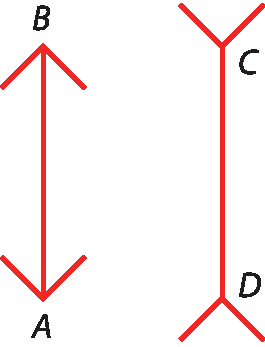 Ilustração.
Dois segmentos de retas vermelhos paralelos na vertical.

O primeiro é delimitado pelos pontos A e B, com flechas indicadas para fora em suas extremidades.
O segundo é delimitado pelos pontos C e D, com flechas indicadas para dentro em suas extremidades.