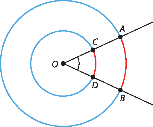 Ilustração.
Duas retas inclinadas com origem no ponto O.
A reta inclinada para baixo, tem os pontos D e B. 
a reta inclinada para cima, tem os pontos C e A. 

Ao redor, passam duas circunferências de diâmetro diferentes com centro em O. A circunferência maior tem os pontos A e B e a menor, os pontos C e D.