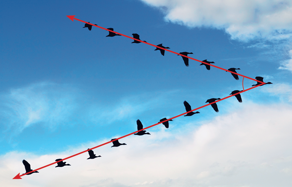 Fotografia.
Grupo de pássaros pretos voando sob o céu azul.
Eles representam duas semirretas diagonais que se unem em uma das extremidades.