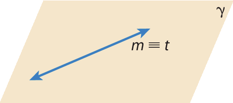 Ilustração.
Representação de um plano denominado gama em cor bege. 

Neste plano há duas retas denominadas m e t, uma em cima da outra.

A escrita é demonstrada como m é coincidente com t.