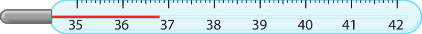 Ilustração. Termômetro com graduação de 35 a 42 graus Celsius. Há uma linha que vai de 35 a 36,8.